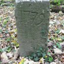 Gemarkungswanderung 2010 -  007